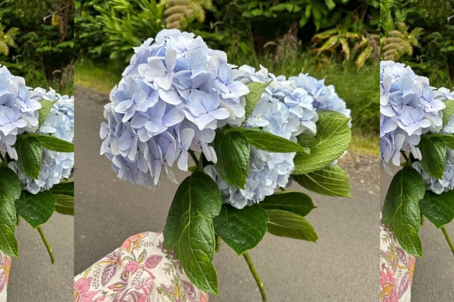 Grief on Father’s Day: How to Support Someone Missing Their Dad