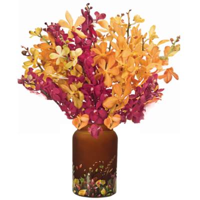 Calyx Flowers Autumn Glow Orchids