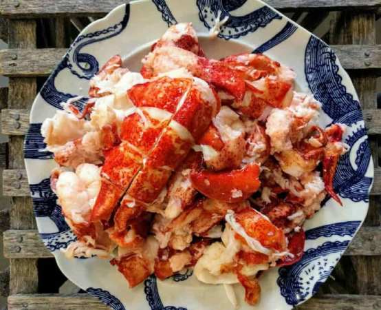 Lobster Meat