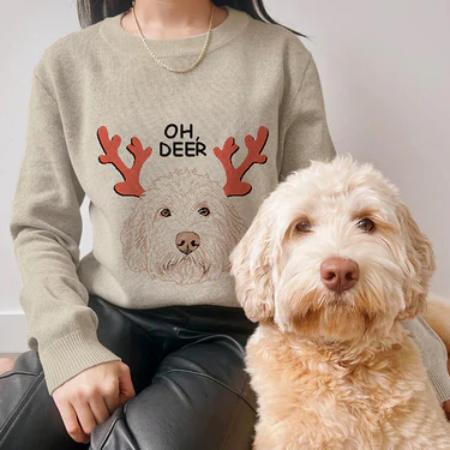 Crown & Paw Oh Deer Pet Face Sweater