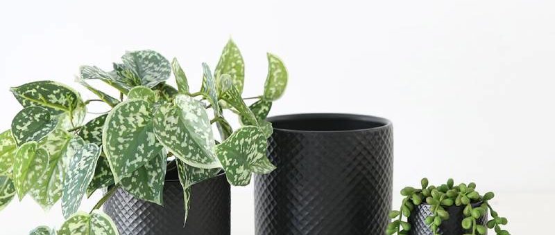 Afloral Coupon Code – Planters & Vases